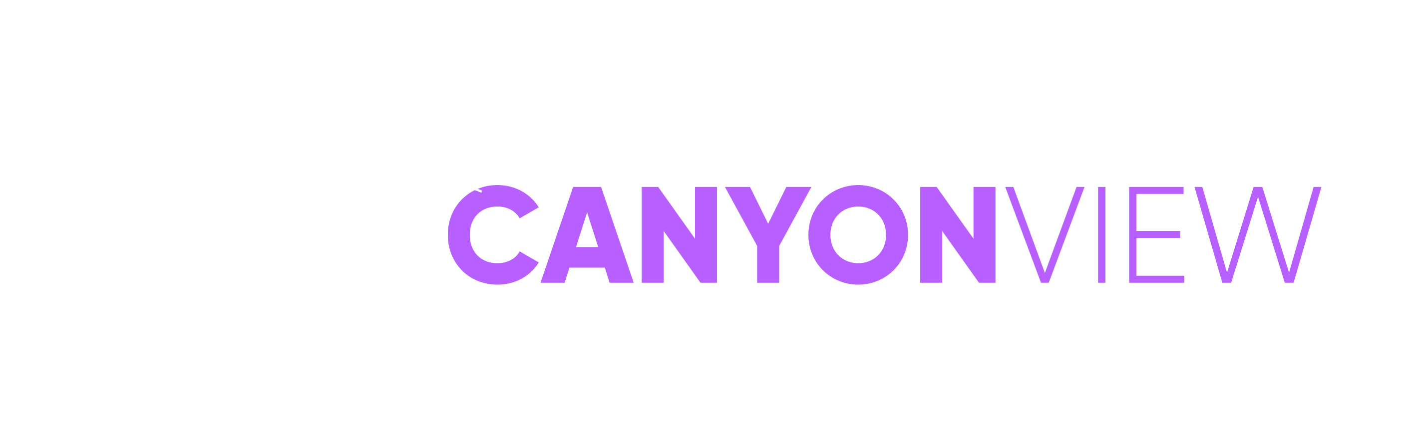 Canyon View Tax and Accounting